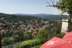 393c70a1-c566-46eb-b311-fd6a64813f81