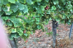 Bad Kreuznach 2016 (23)