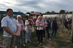 Interessante Erklärungen